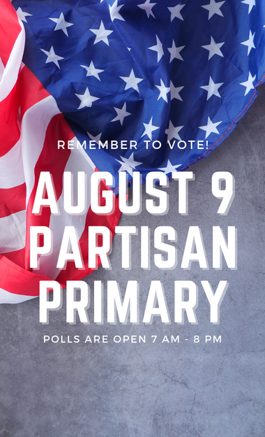 Partisan Primary graphic