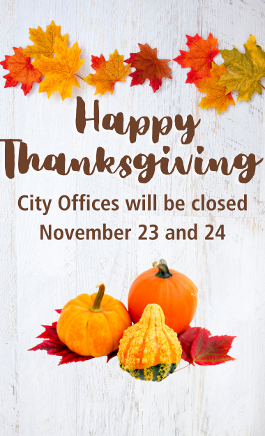 happy thanksgiving  graphic